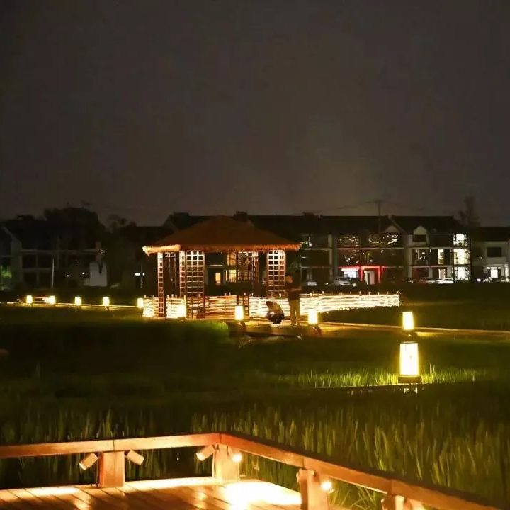 Feng Meng Long Project